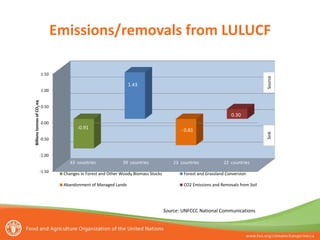Emissions/removals from LULUCF
Source

1.50

1.43

0.50

0.30
0.00

-0.91

- 0.81

Sink

Billions tonnes of CO2 eq

1.00

-0.50

-1.00

43 countries
-1.50

39 countries

23 countries

22 countries

Changes in Forest and Other Woody Biomass Stocks

Forest and Grassland Conversion

Abandonment of Managed Lands

CO2 Emissions and Removals from Soil

Source: UNFCCC National Communications

 