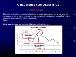 A. REGÍMENES FLUVIALES: TIPOS
Régimen nival:
El caudal está determinado por la fusión de la nieve. Máximos en primavera (deshielo) y
mínimo en invierno (nieve retenida en las montañas). Localización geográfica: ríos de
montaña. Cotas cercanas 2500 m de altitud.
Tipos:
Nival puro: Ríos de alta montaña. Máximos tardíos (verano).
Máximo nival en
primavera y
verano
Mínimos en
invierno
 