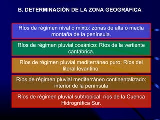 B. DETERMINACIÓN DE LA ZONA GEOGRÁFICA
Ríos de régimen nival o mixto: zonas de alta o media
montaña de la península.
Ríos de régimen pluvial oceánico: Ríos de la vertiente
cantábrica.
Ríos de régimen pluvial mediterráneo puro: Ríos del
litoral levantino.
Ríos de régimen pluvial mediterráneo continentalizado:
interior de la península
Ríos de régimen pluvial subtropical: ríos de la Cuenca
Hidrográfica Sur.
 