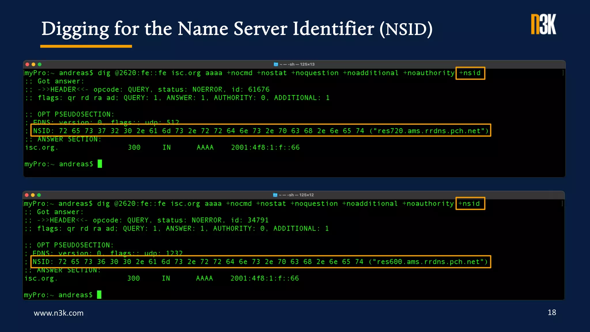 www.n3k.com 18
Digging for the Name Server Identifier (NSID)
 