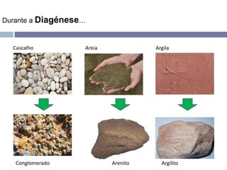 Durante a Diagénese…
Cascalho Areia Argila
Conglomerado Arenito Argilito
 