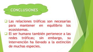 CONCLUSIONES
 Las relaciones tróficas son necesarias
para mantener en equilibrio los
ecosistemas.
 El ser humano también pertenece a las
redes tróficas; sin embargo, su
intervención ha llevado a la extinción
de muchas especies.
 
