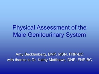 Physical Assessment of the
Male Genitourinary System
Amy Becklenberg, DNP, MSN, FNP-BC
with thanks to Dr. Kathy Matthews, DNP, FNP-BC
 