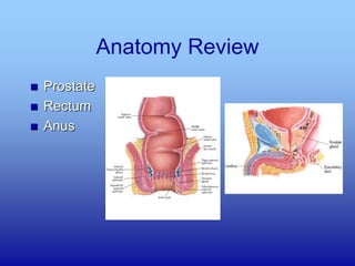 N544- Physical Assessment of the Male GU System, Anus, Rectum and ...