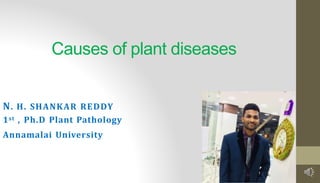 Causes of plant diseases
N. H. SHANKAR REDDY
1st , Ph.D Plant Pathology
Annamalai University
 