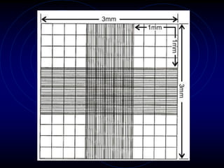 Hemocytometer | PDF