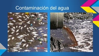Contaminación del agua 
 