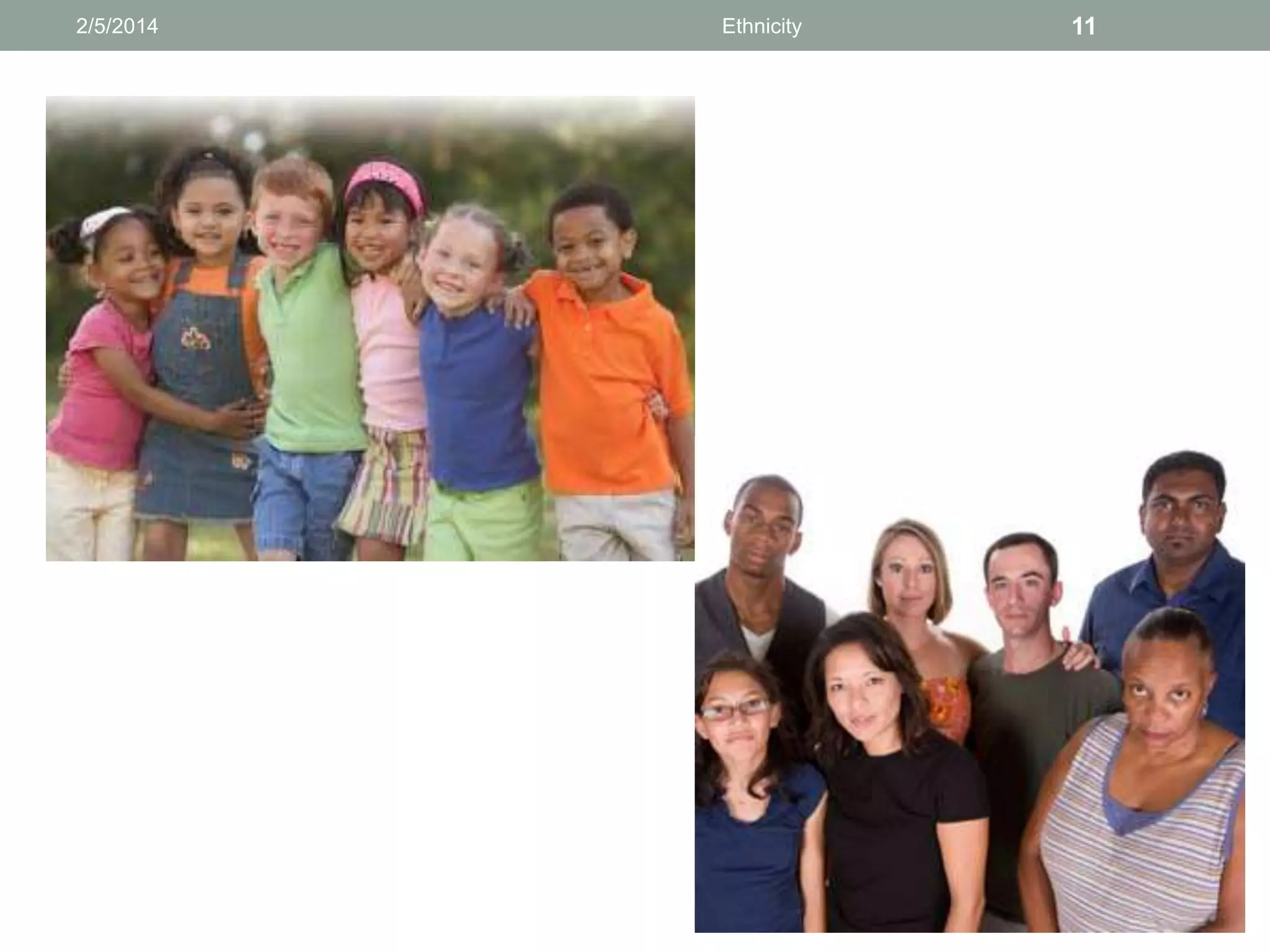 2/5/2014

Ethnicity

11

 