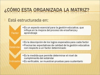  Está estructurada en:
 