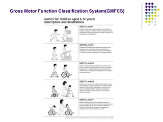Gross Motor Function Classification System(GMFCS)
 