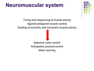 Neuromuscular system
Timing and sequencing of muscle activity
Agonist-antagonist muscle control
Grading of eccentric and concentric muscle activity
Selective motor control
Anticipatory postural control
Motor learning
 