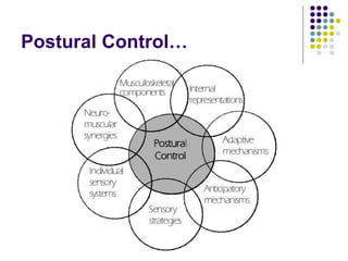 Postural Control…
 