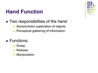 Hand Function
 Two responsibilities of the hand:
 Sensorimotor exploration of objects
 Perceptual gathering of information
 Functions:
 Grasp
 Release
 Manipulation
 