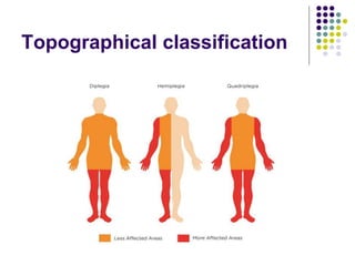 Topographical classification
 