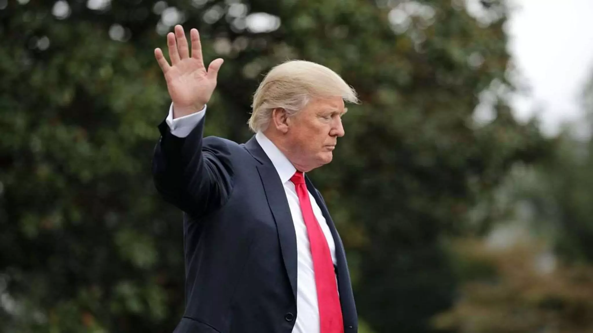 Herbal medicine Intro 1 