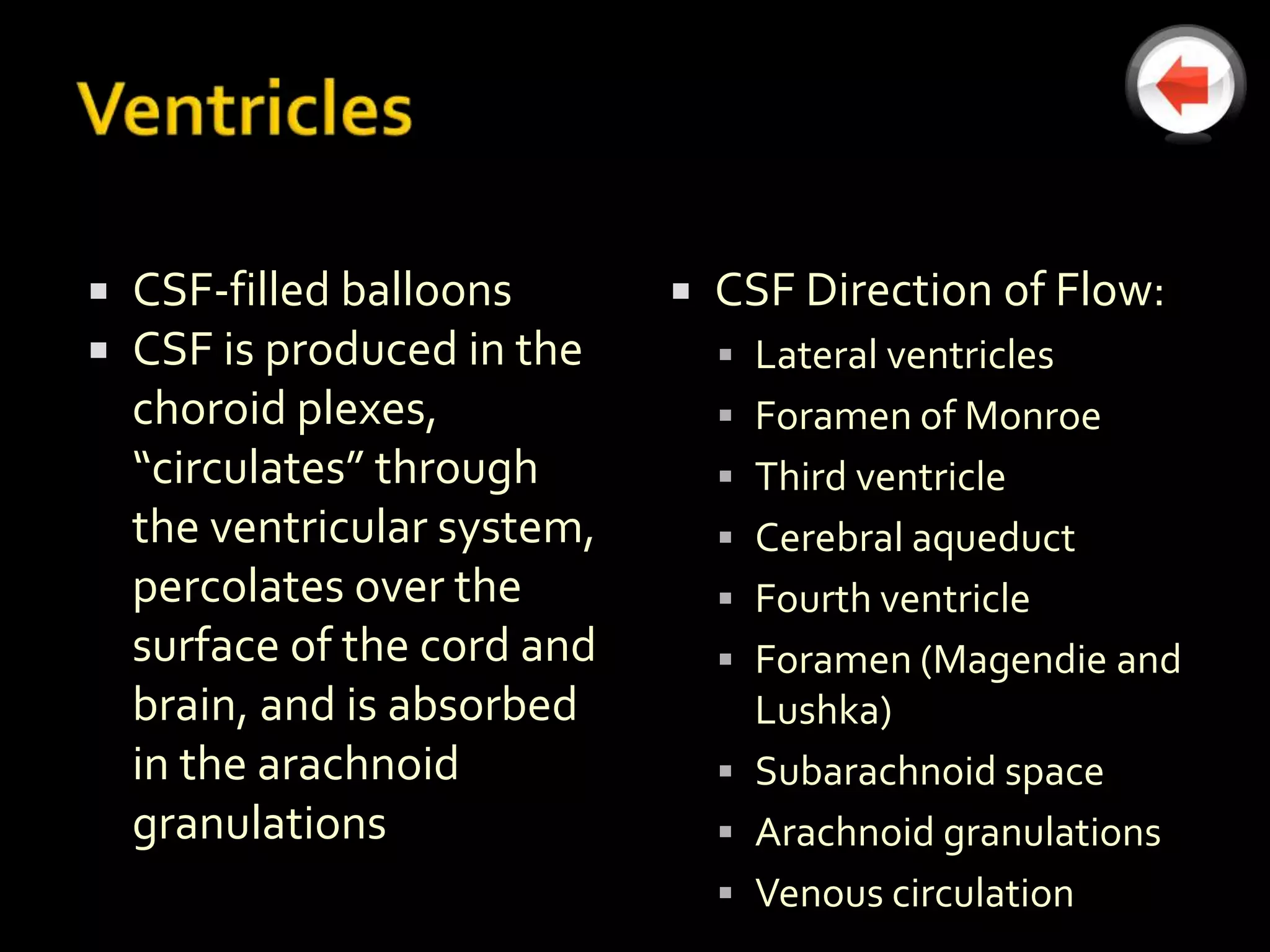    CSF-filled balloons          CSF Direction of Flow:
   CSF is produced in the         Lateral ventricles
    choroid plexes,                Foramen of Monroe
    “circulates” through           Third ventricle
    the ventricular system,        Cerebral aqueduct
    percolates over the            Fourth ventricle
    surface of the cord and        Foramen (Magendie and
    brain, and is absorbed          Lushka)
    in the arachnoid               Subarachnoid space
    granulations                   Arachnoid granulations
                                   Venous circulation
 
