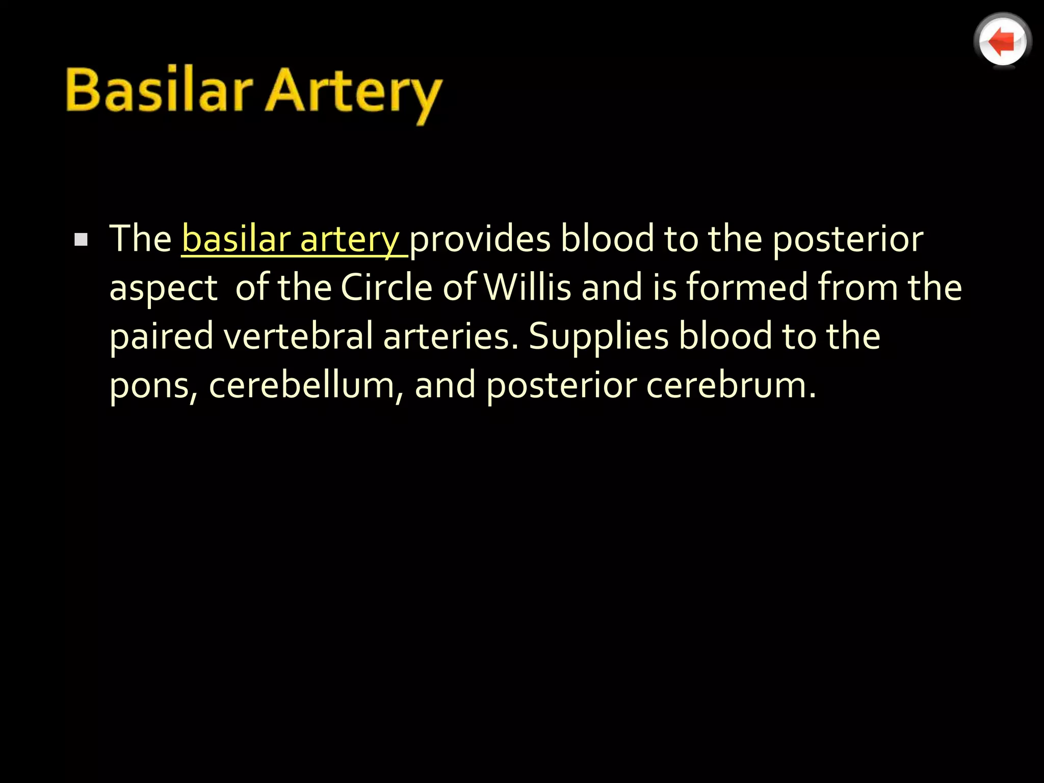    The basilar artery provides blood to the posterior
    aspect of the Circle of Willis and is formed from the
    paired vertebral arteries. Supplies blood to the
    pons, cerebellum, and posterior cerebrum.
 