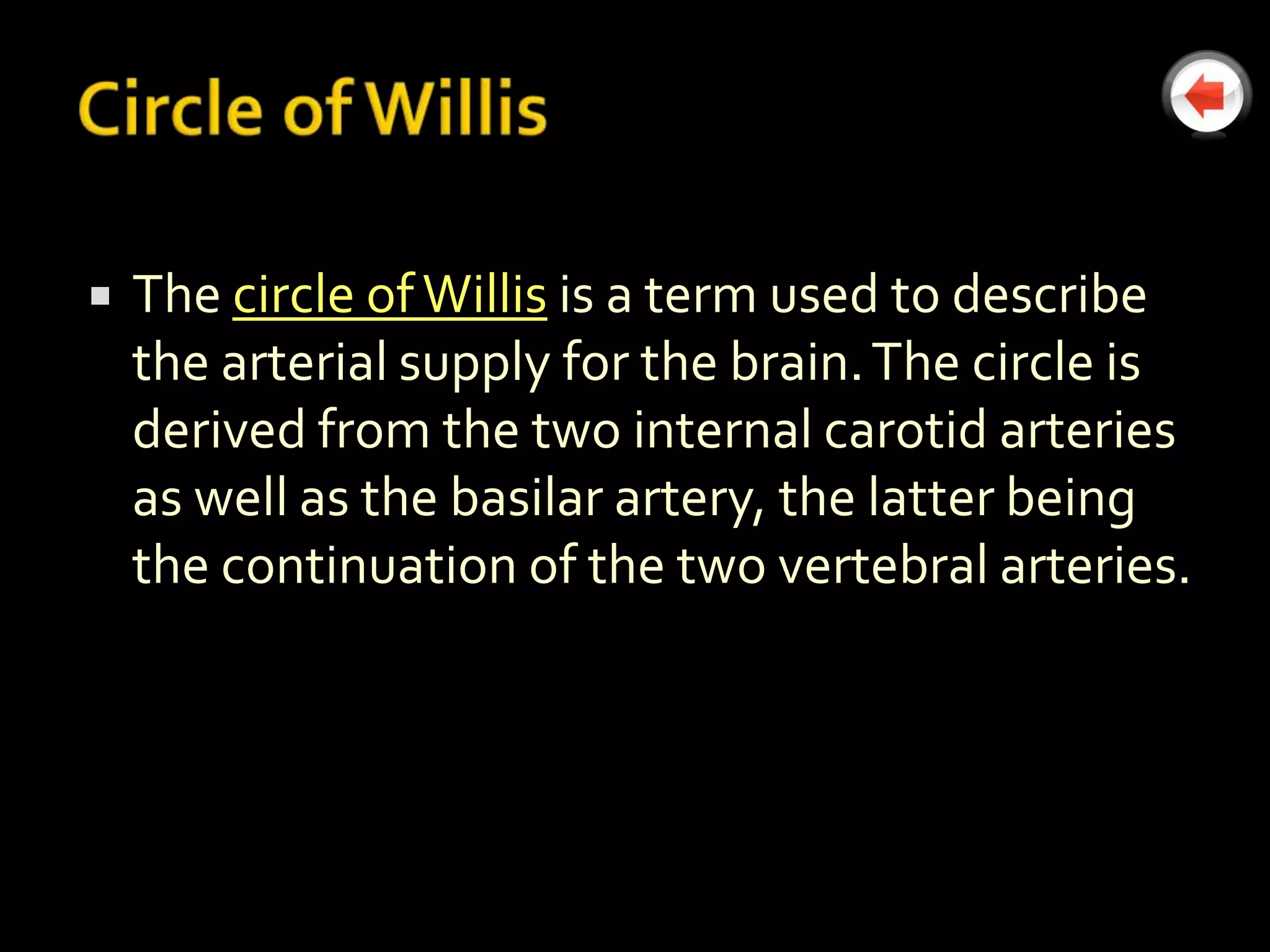    The circle of Willis is a term used to describe
    the arterial supply for the brain. The circle is
    derived from the two internal carotid arteries
    as well as the basilar artery, the latter being
    the continuation of the two vertebral arteries.
 