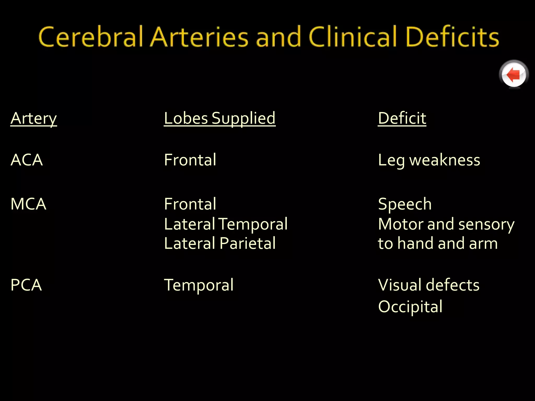 Artery   Lobes Supplied     Deficit

ACA      Frontal            Leg weakness

MCA      Frontal            Speech
         Lateral Temporal   Motor and sensory
         Lateral Parietal   to hand and arm

PCA      Temporal           Visual defects
                            Occipital
 
