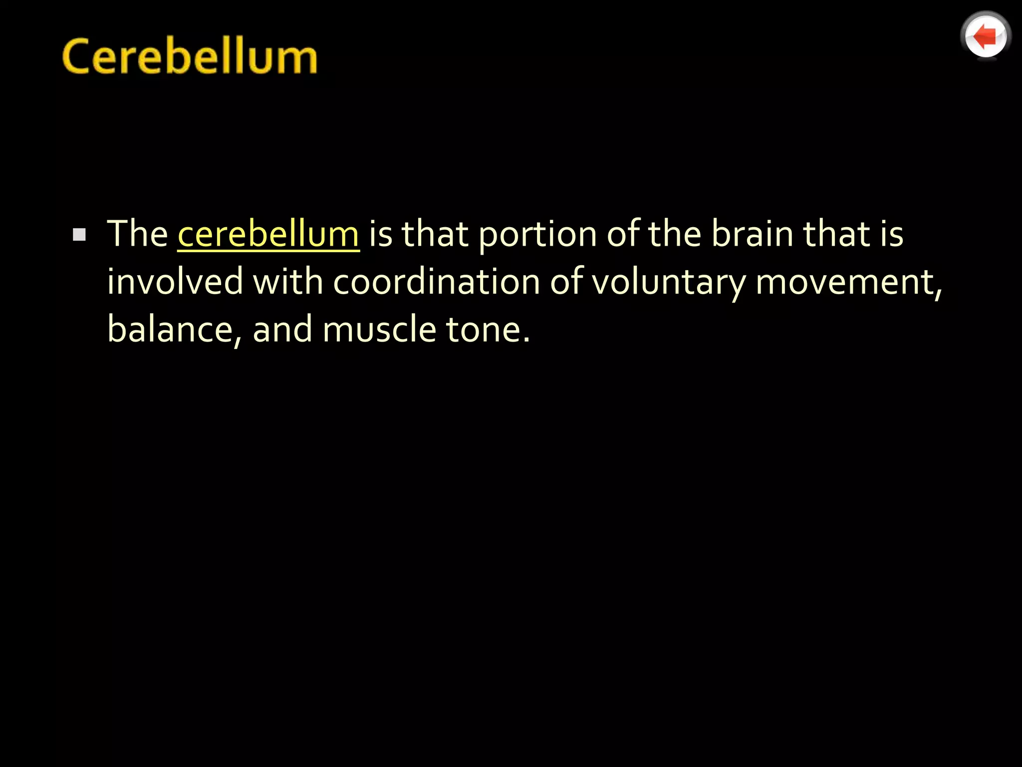    The cerebellum is that portion of the brain that is
    involved with coordination of voluntary movement,
    balance, and muscle tone.
 