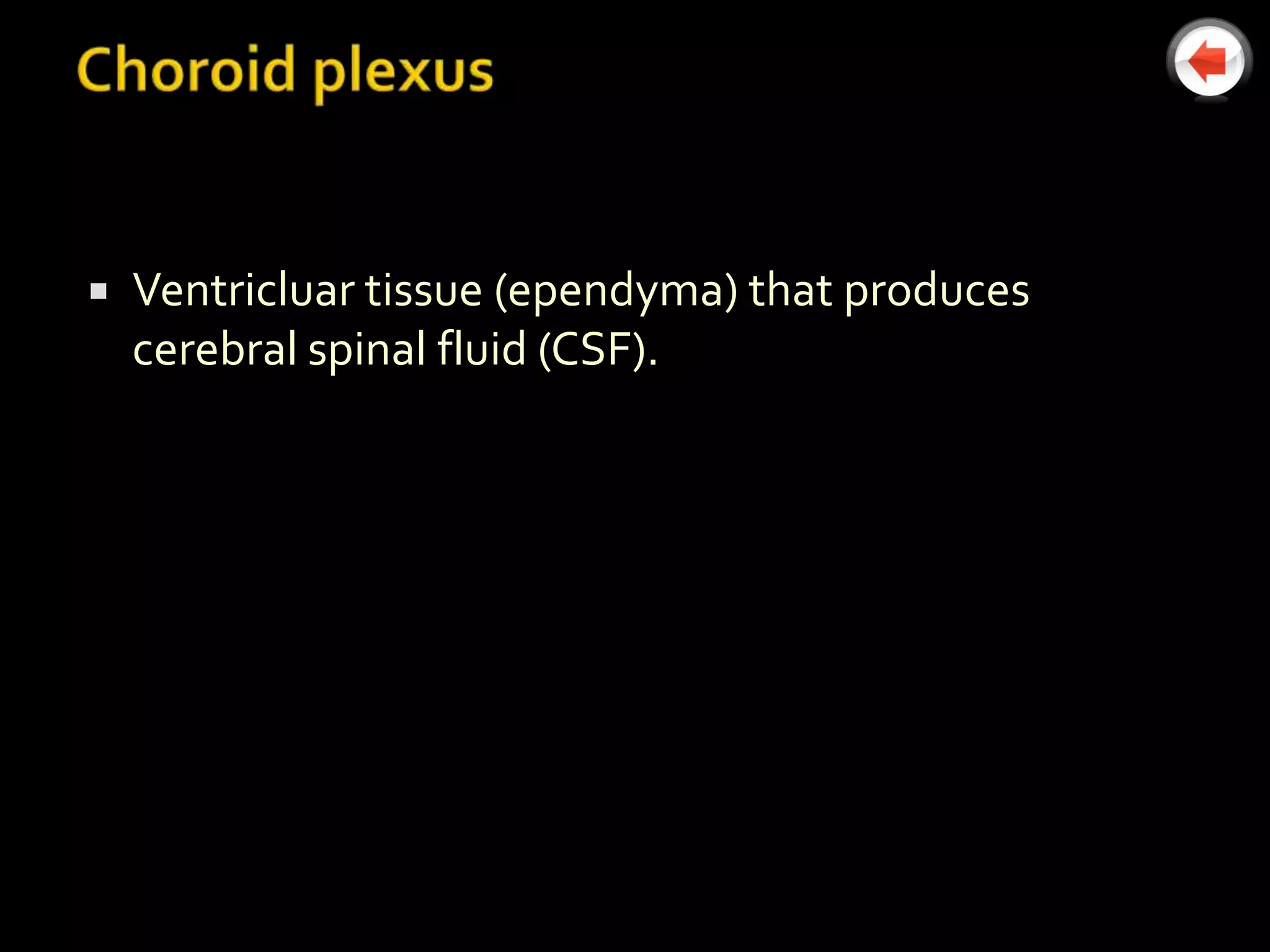    Ventricluar tissue (ependyma) that produces
    cerebral spinal fluid (CSF).
 