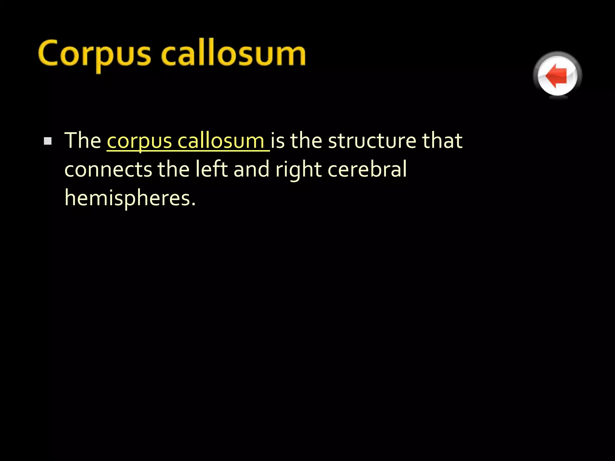    The corpus callosum is the structure that
    connects the left and right cerebral
    hemispheres.
 