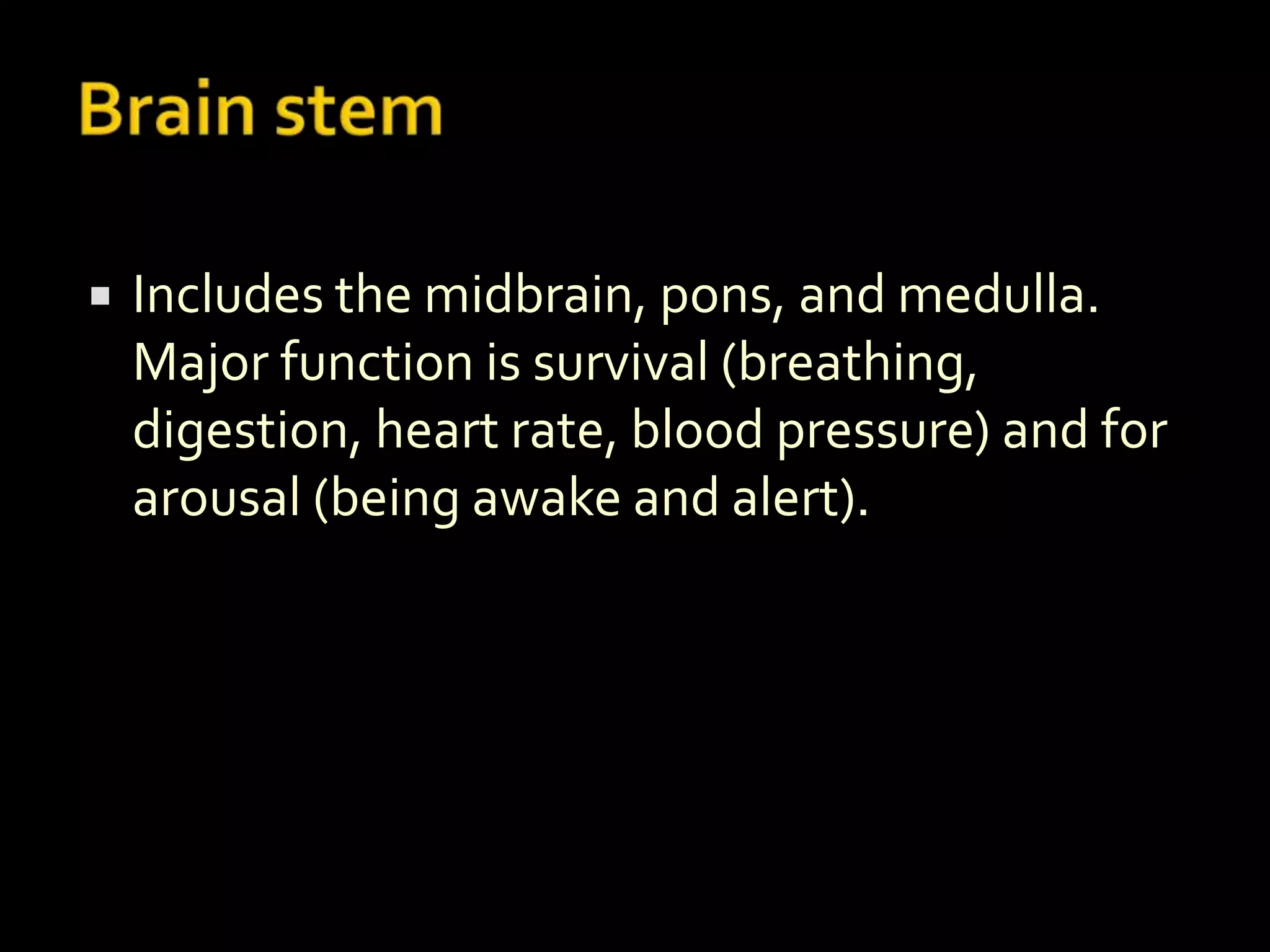    Includes the midbrain, pons, and medulla.
    Major function is survival (breathing,
    digestion, heart rate, blood pressure) and for
    arousal (being awake and alert).
 