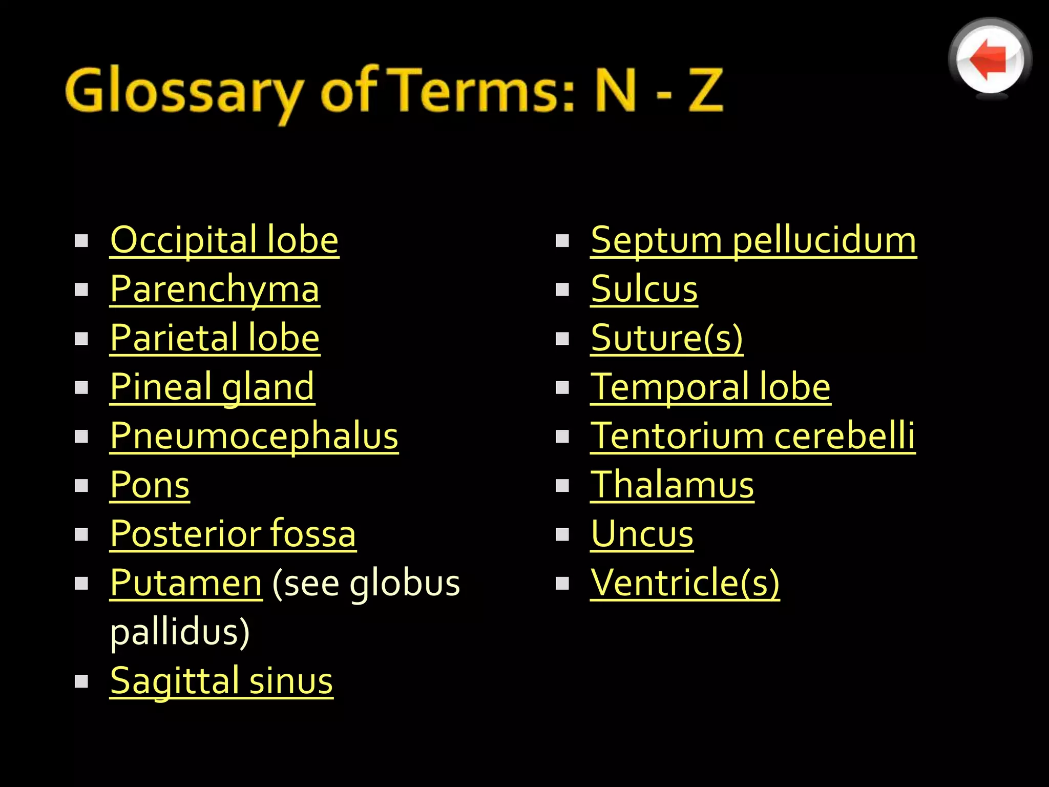  Occipital lobe           Septum pellucidum
 Parenchyma               Sulcus
 Parietal lobe            Suture(s)
 Pineal gland             Temporal lobe
 Pneumocephalus           Tentorium cerebelli
 Pons                     Thalamus
 Posterior fossa          Uncus
 Putamen (see globus      Ventricle(s)
  pallidus)
 Sagittal sinus
 