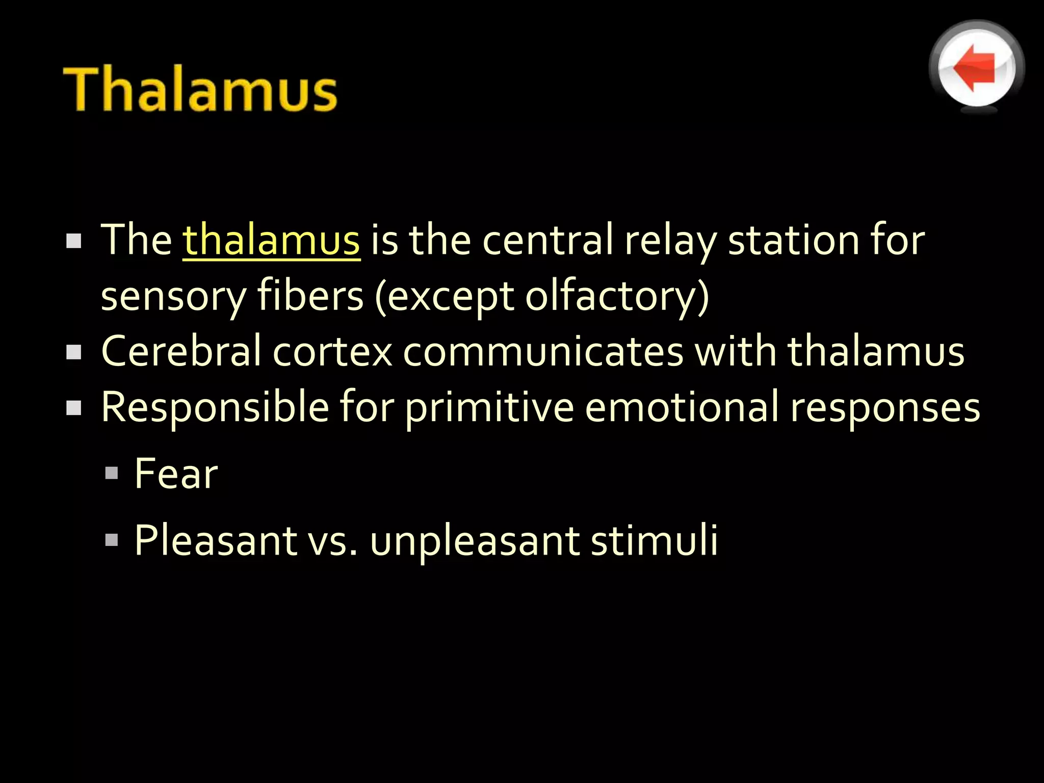    The thalamus is the central relay station for
    sensory fibers (except olfactory)
   Cerebral cortex communicates with thalamus
   Responsible for primitive emotional responses
     Fear
     Pleasant vs. unpleasant stimuli
 