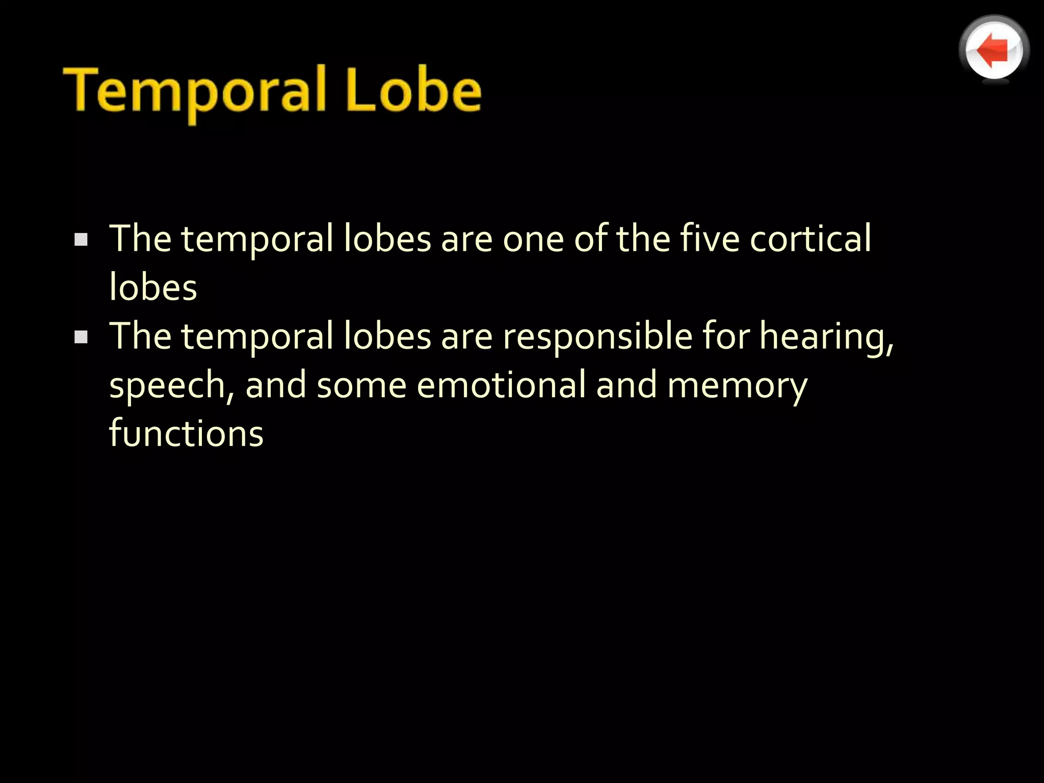  The temporal lobes are one of the five cortical
  lobes
 The temporal lobes are responsible for hearing,
  speech, and some emotional and memory
  functions
 