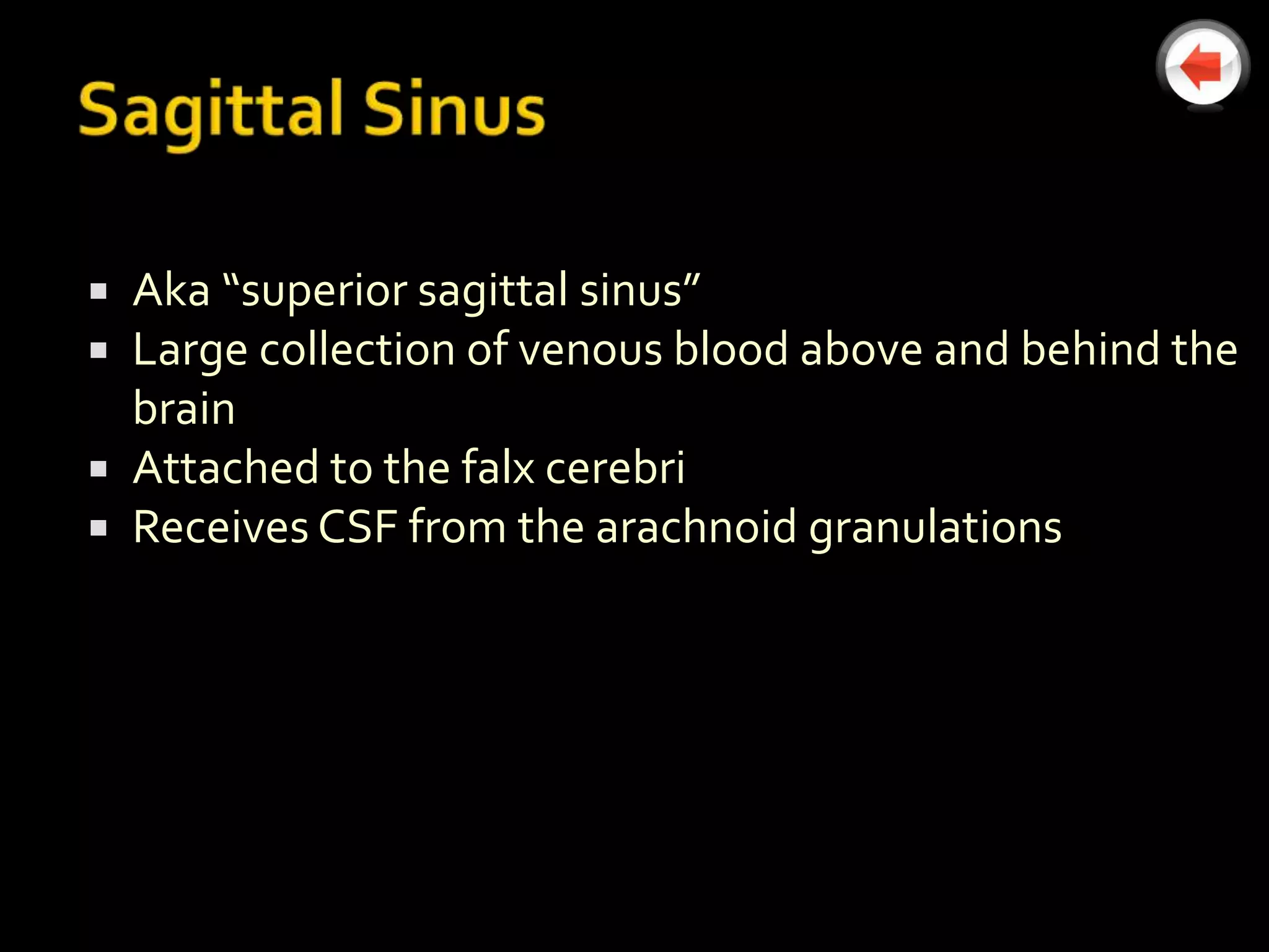  Aka “superior sagittal sinus”
 Large collection of venous blood above and behind the
  brain
 Attached to the falx cerebri
 Receives CSF from the arachnoid granulations
 