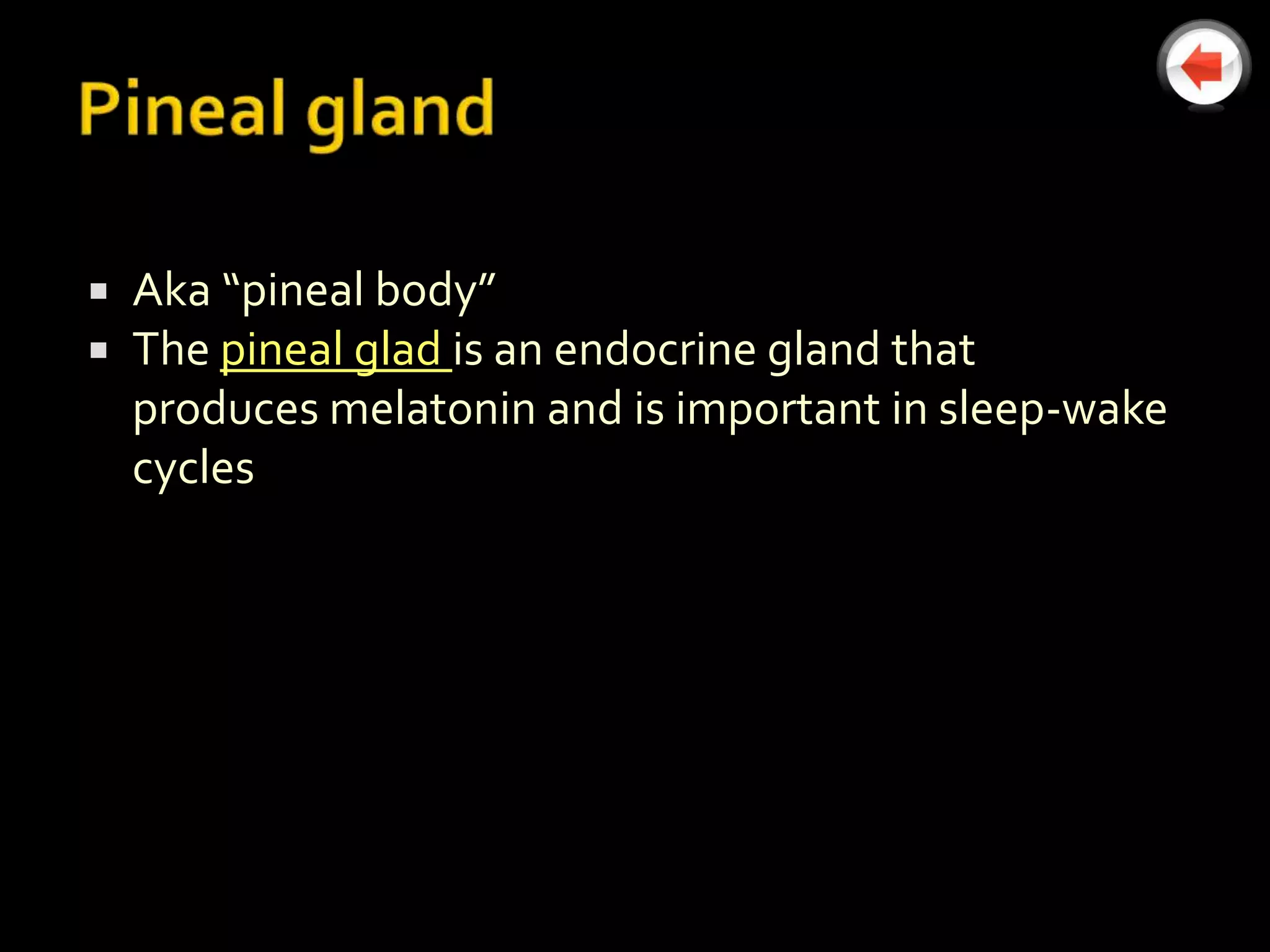    Aka “pineal body”
   The pineal glad is an endocrine gland that
    produces melatonin and is important in sleep-wake
    cycles
 