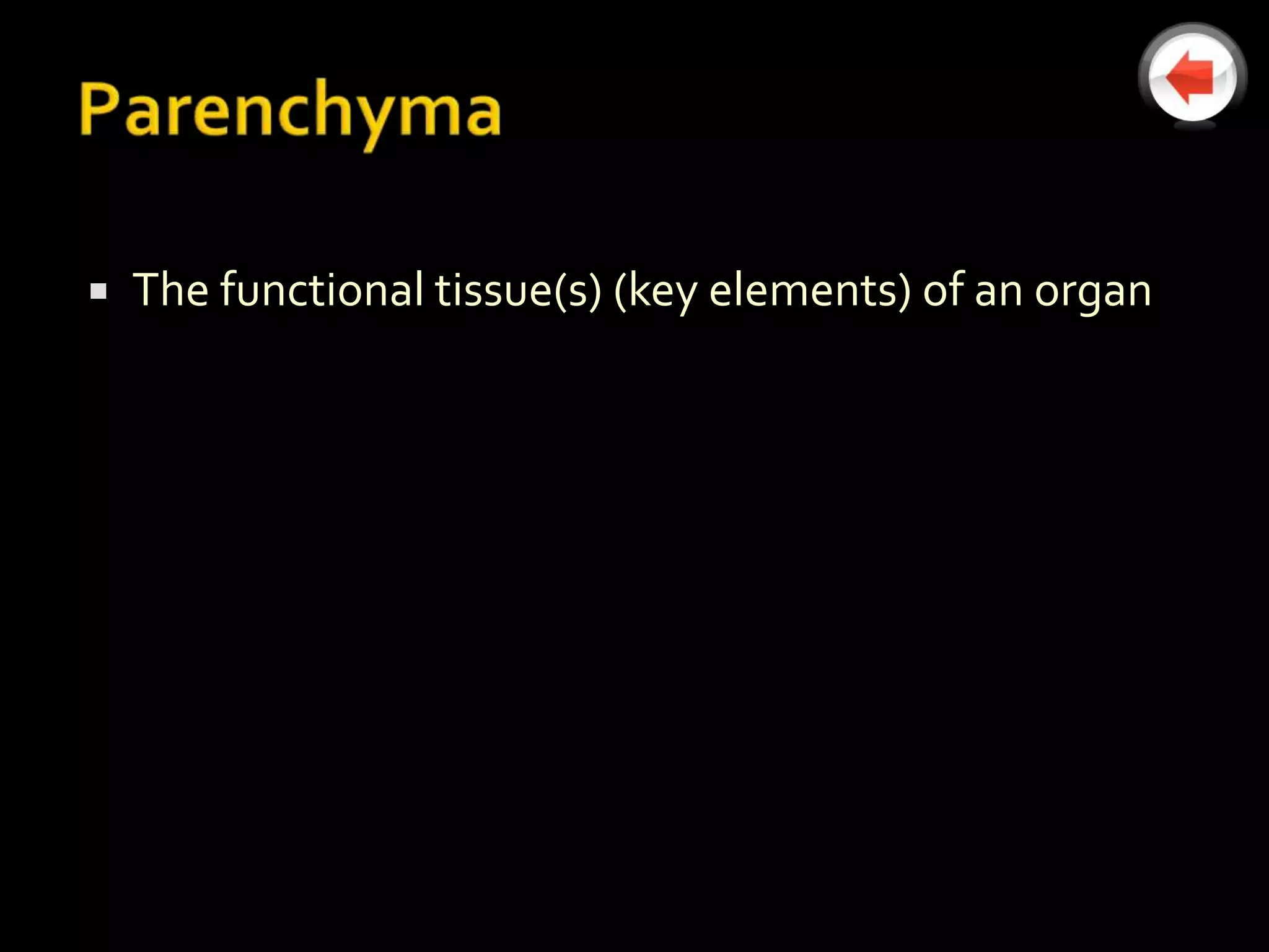    The functional tissue(s) (key elements) of an organ
 