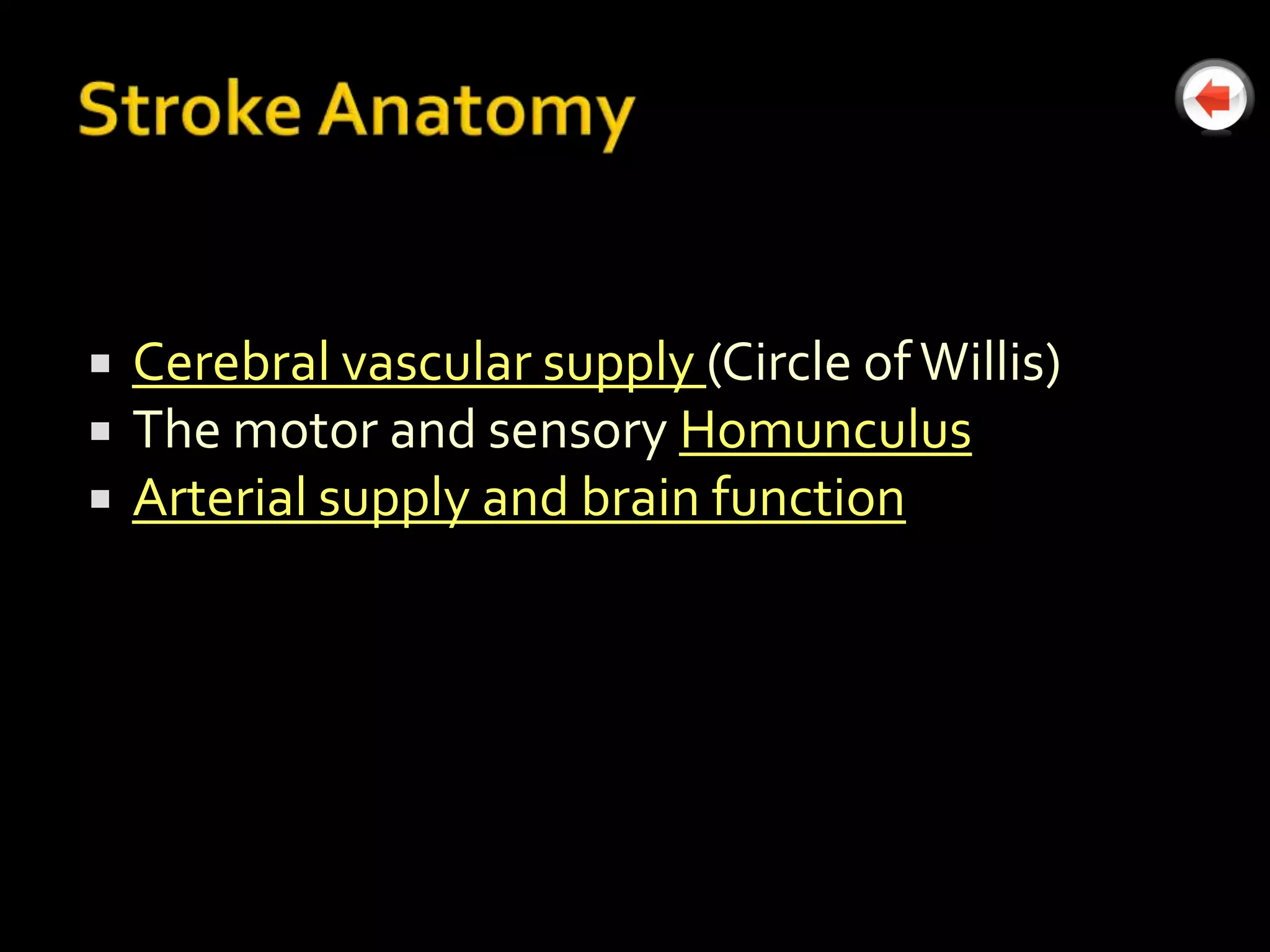    Cerebral vascular supply (Circle of Willis)
   The motor and sensory Homunculus
   Arterial supply and brain function
 