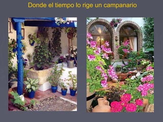 Donde el tiempo lo rige un campanario 
 