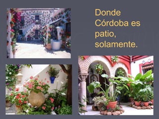 Donde 
Córdoba es 
patio, 
solamente. 
 