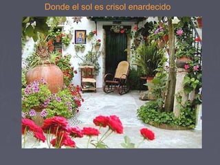 Donde el sol es crisol enardecido 
 