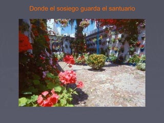 Donde el sosiego guarda el santuario 
 