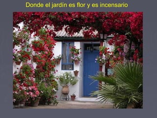 Donde el jardín es flor y es incensario 
 