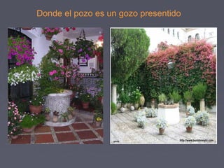 Donde el pozo es un gozo presentido 
 