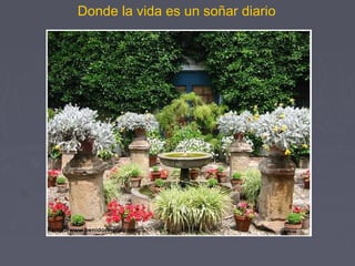 Donde la vida es un soñar diario 
 