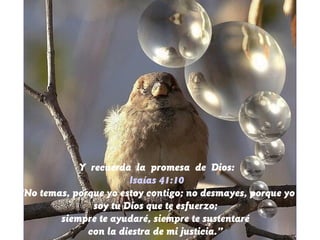 Y recuerda la promesa de Dios:
Isaías 41:10
“No temas, porque yo estoy contigo; no desmayes, porque yo
soy tu Dios que te esfuerzo;
siempre te ayudaré, siempre te sustentaré
con la diestra de mi justicia.”
 