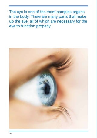 The eye is one of the most complex organs 
in the body. There are many parts that make 
up the eye, all of which are necessary for the 
eye to function properly. 
18 
 
