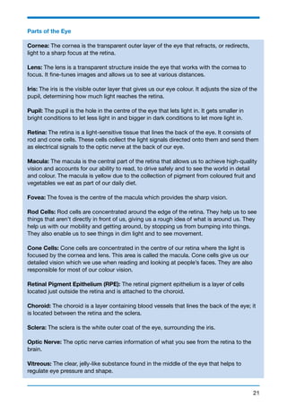 Parts of the Eye 
Cornea: The cornea is the transparent outer layer of the eye that refracts, or redirects, 
light to a sharp focus at the retina. 
Lens: The lens is a transparent structure inside the eye that works with the cornea to 
focus. It fine-tunes images and allows us to see at various distances. 
Iris: The iris is the visible outer layer that gives us our eye colour. It adjusts the size of the 
pupil, determining how much light reaches the retina. 
Pupil: The pupil is the hole in the centre of the eye that lets light in. It gets smaller in 
bright conditions to let less light in and bigger in dark conditions to let more light in. 
Retina: The retina is a light-sensitive tissue that lines the back of the eye. It consists of 
rod and cone cells. These cells collect the light signals directed onto them and send them 
as electrical signals to the optic nerve at the back of our eye. 
Macula: The macula is the central part of the retina that allows us to achieve high-quality 
vision and accounts for our ability to read, to drive safely and to see the world in detail 
and colour. The macula is yellow due to the collection of pigment from coloured fruit and 
vegetables we eat as part of our daily diet. 
Fovea: The fovea is the centre of the macula which provides the sharp vision. 
Rod Cells: Rod cells are concentrated around the edge of the retina. They help us to see 
things that aren’t directly in front of us, giving us a rough idea of what is around us. They 
help us with our mobility and getting around, by stopping us from bumping into things. 
They also enable us to see things in dim light and to see movement. 
Cone Cells: Cone cells are concentrated in the centre of our retina where the light is 
focused by the cornea and lens. This area is called the macula. Cone cells give us our 
detailed vision which we use when reading and looking at people’s faces. They are also 
responsible for most of our colour vision. 
Retinal Pigment Epithelium (RPE): The retinal pigment epithelium is a layer of cells 
located just outside the retina and is attached to the choroid. 
Choroid: The choroid is a layer containing blood vessels that lines the back of the eye; it 
is located between the retina and the sclera. 
Sclera: The sclera is the white outer coat of the eye, surrounding the iris. 
Optic Nerve: The optic nerve carries information of what you see from the retina to the 
brain. 
Vitreous: The clear, jelly-like substance found in the middle of the eye that helps to 
regulate eye pressure and shape. 
21 
 