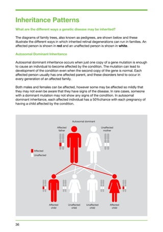 Inheritance Patterns 
What are the different ways a genetic disease may be inherited? 
The diagrams of family trees, also known as pedigrees, are shown below and these 
illustrate the different ways in which inherited retinal degenerations can run in families. An 
affected person is shown in red and an unaffected person is shown in white. 
Autosomal Dominant Inheritance 
Autosomal dominant inheritance occurs when just one copy of a gene mutation is enough 
to cause an individual to become affected by the condition. The mutation can lead to 
development of the condition even when the second copy of the gene is normal. Each 
affected person usually has one affected parent, and these disorders tend to occur in 
every generation of an affected family. 
Both males and females can be affected, however some may be affected so mildly that 
they may not even be aware that they have signs of the disease. In rare cases, someone 
with a dominant mutation may not show any signs of the condition. In autosomal 
dominant inheritance, each affected individual has a 50%chance with each pregnancy of 
having a child affected by the condition. 
36 
Autosomal dominant 
Affected 
Unaffected 
Affected 
father 
Unaffected 
mother 
Affected 
child 
Unaffected 
child 
Unaffected 
child 
Affected 
child 
 