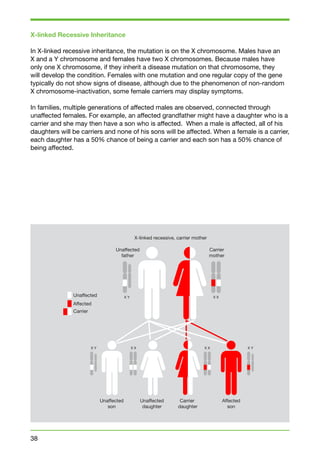 X-linked Recessive Inheritance 
In X-linked recessive inheritance, the mutation is on the X chromosome. Males have an 
X and a Y chromosome and females have two X chromosomes. Because males have 
only one X chromosome, if they inherit a disease mutation on that chromosome, they 
will develop the condition. Females with one mutation and one regular copy of the gene 
typically do not show signs of disease, although due to the phenomenon of non-random 
X chromosome-inactivation, some female carriers may display symptoms. 
In families, multiple generations of affected males are observed, connected through 
unaffected females. For example, an affected grandfather might have a daughter who is a 
carrier and she may then have a son who is affected. When a male is affected, all of his 
daughters will be carriers and none of his sons will be affected. When a female is a carrier, 
each daughter has a 50% chance of being a carrier and each son has a 50% chance of 
being affected. 
38 
X-linked recessive, carrier mother 
Unaffected 
X Y X X 
X Y X X 
X X X Y 
Affected 
Carrier 
Unaffected 
father 
Carrier 
mother 
Unaffected 
son 
Unaffected 
daughter 
Carrier 
daughter 
Affected 
son 
 