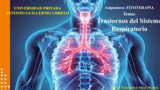 Tema:
Trastornos del Sistema
Respiratorio
Mg. Q.F Tejada Rossi Rafael Ricardo
UNIVERSIDAD PRIVADA
ANTONIO GUILLERMO URRELO
Asignatura: FITOTERAPIA
 
