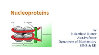 By
N.Santhosh Kumar
Asst.Professor
Department of Biochemistry
SIMS & RH
 