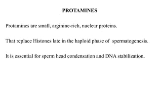 Protamine Formula NA- 01: Chemistry of Nucleotides & It's clinical importance | PPT