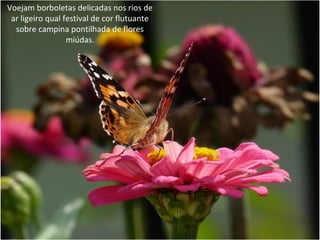 Voejam borboletas delicadas nos rios de
ar ligeiro qual festival de cor flutuante
sobre campina pontilhada de flores
miúdas.
 